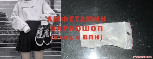 шишки Ельня