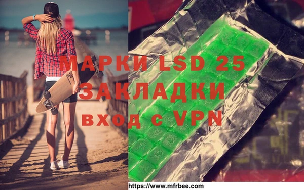 шишки Ельня