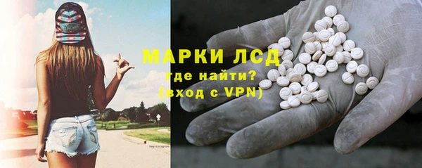 шишки Ельня