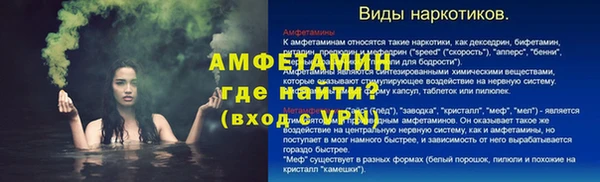 шишки Ельня