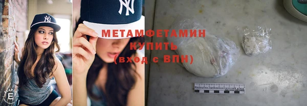 шишки Ельня