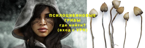круглые Елизово
