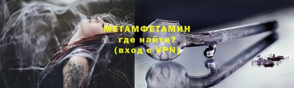 шишки Ельня