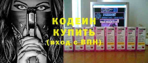 шишки Ельня
