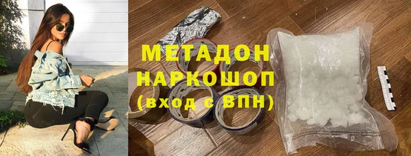 шишки Ельня