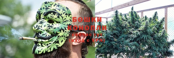 шишки Ельня