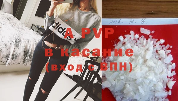 шишки Ельня