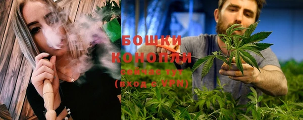 шишки Ельня