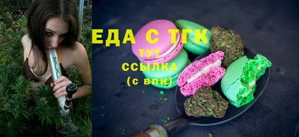шишки Ельня