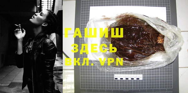 шишки Ельня