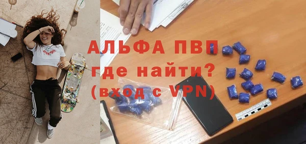шишки Ельня