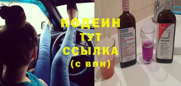 шишки Ельня