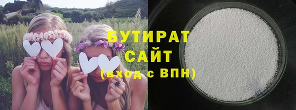 шишки Ельня