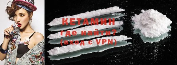 шишки Ельня