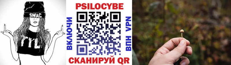 Купить закладки  Качканар  Галлюциногенные грибы прущие грибы 
